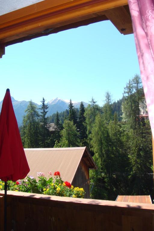 Pension Alpenrose ザーファウス 部屋 写真